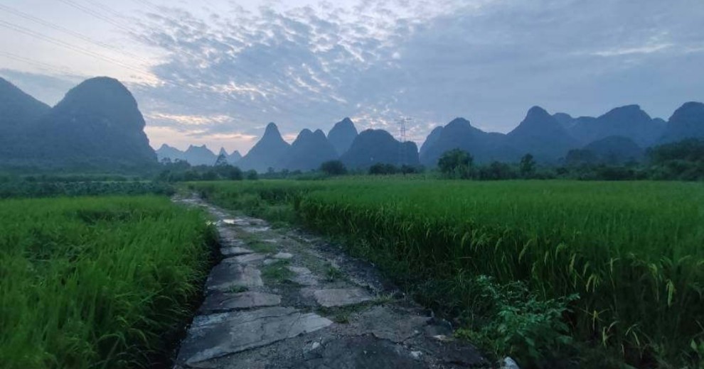 夕阳稻香山水，第二篇烂桥堡