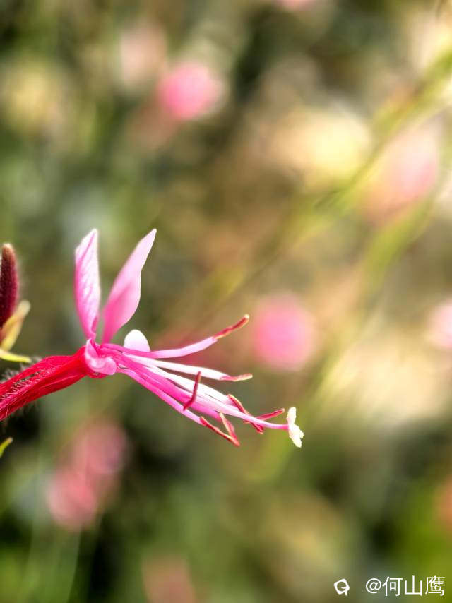 b1a69fc4-9732-8f05-3e6e-4e9cbe2a0a5c.jpg