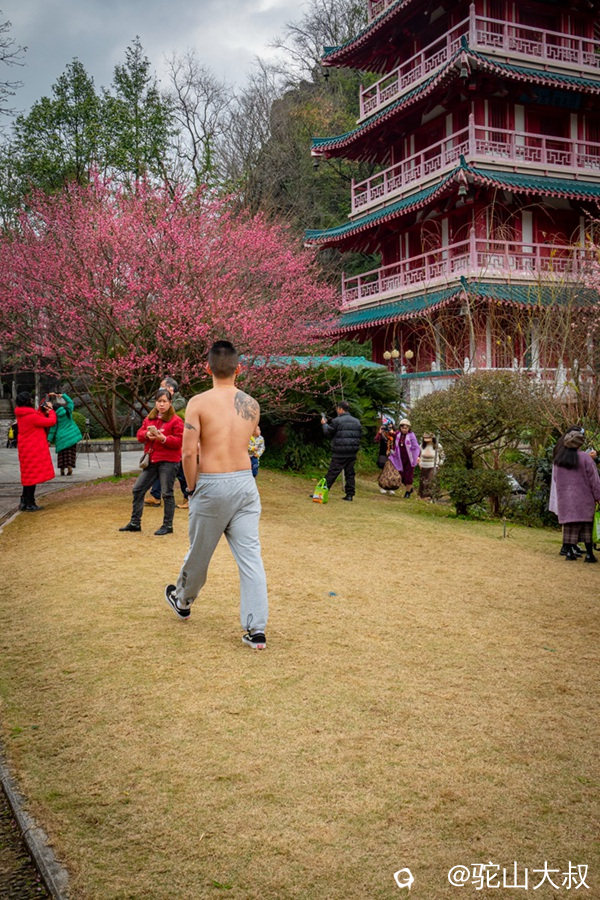 DSC05466-0_副本.jpg