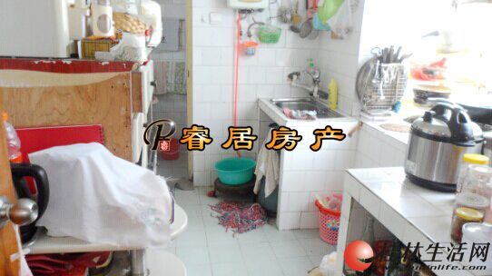 J����� ����Ψһ ��Ʒ�л�ѧ���� 2��1�� 95�� ��װ 56��