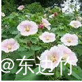 截图202503061319403135.png