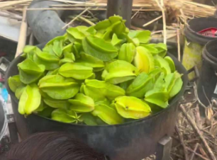 酸到“掉牙”！广西人小时候的味道！广西女子在家自制酸杨桃干，你吃过吗？