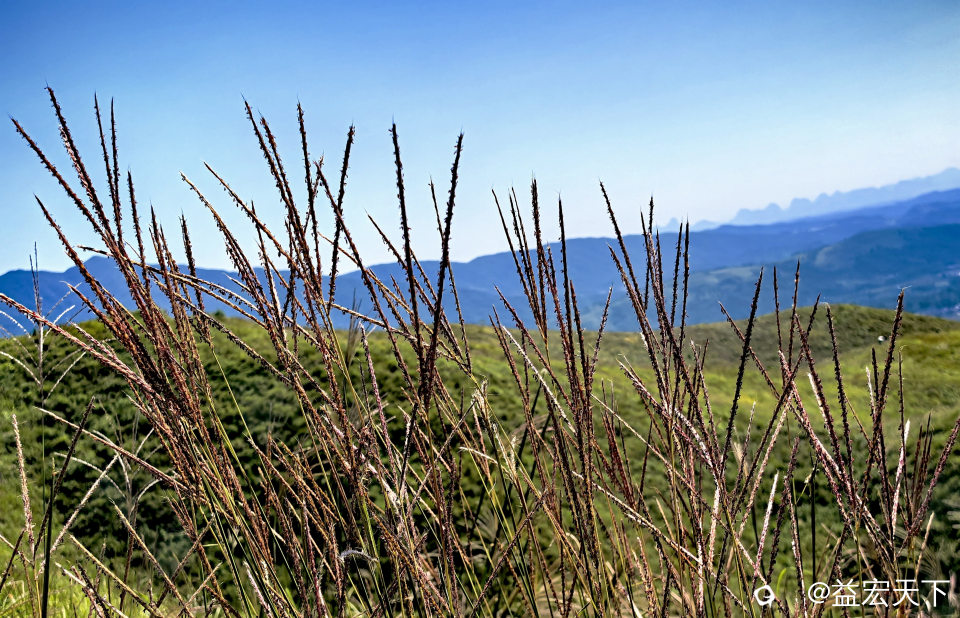 IMG_20261008_115206.jpg