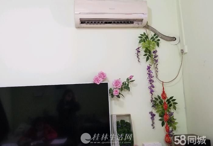 ����«��Сѧѧ����С����