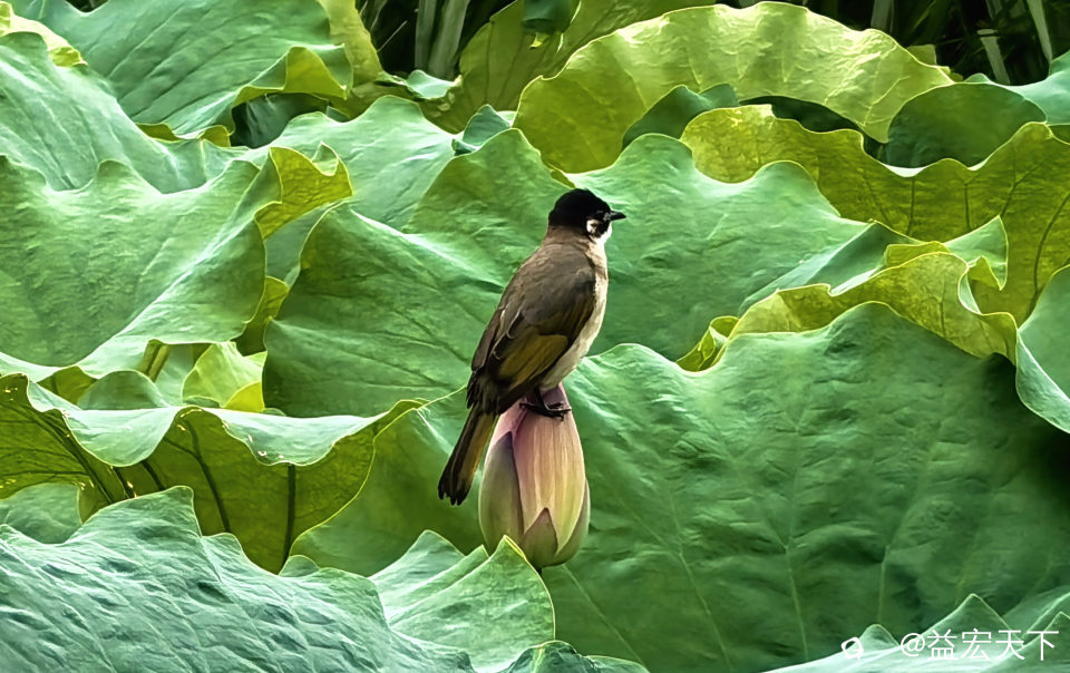 IMG_20260624_101503.jpg