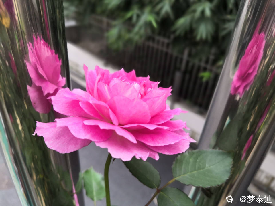 IMG_20240415_182237_副本.jpg