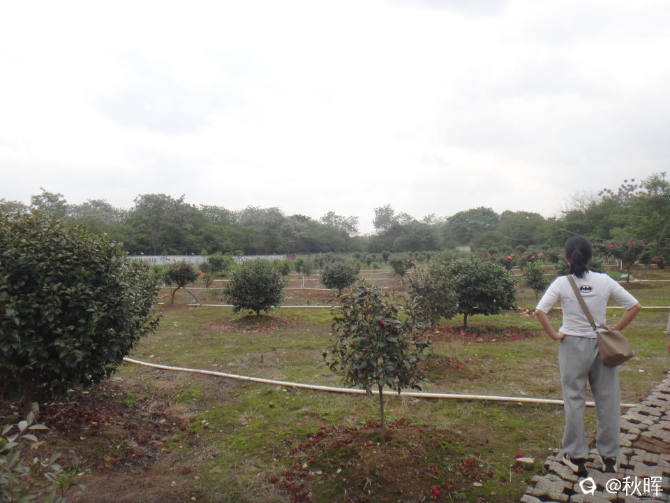 DSC08244.JPG
