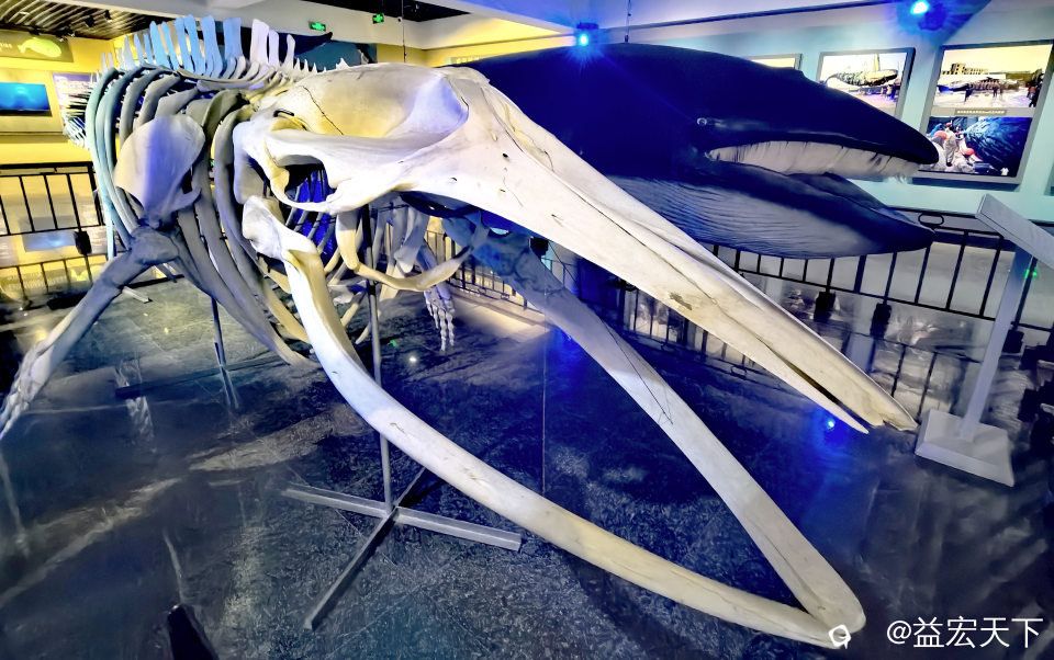 IMG_20260917_134900.jpg