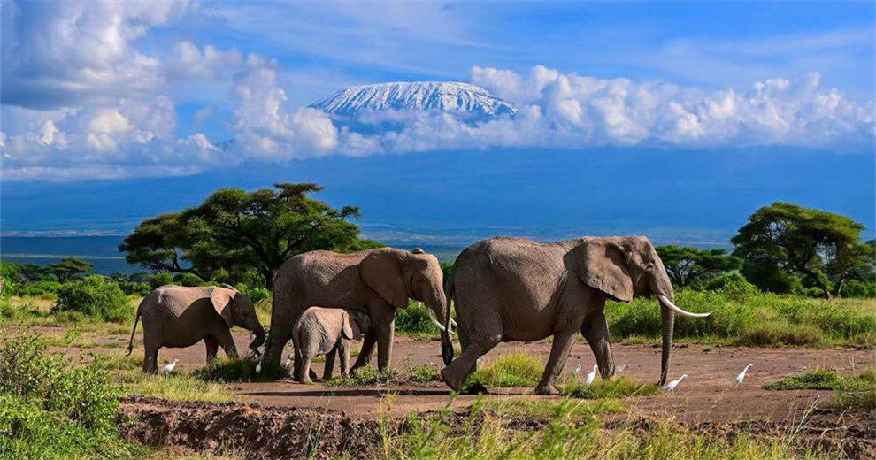 赴肯尼亚旅拍非州五霸，欣赏自然生态之美