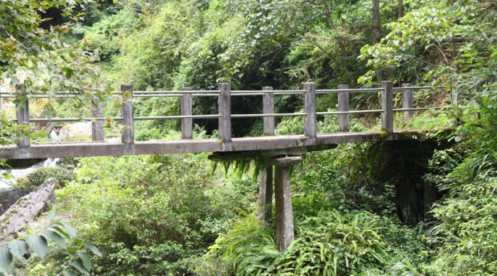 DSC_3215.JPG