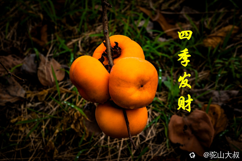 DSC04510-0_副本.jpg