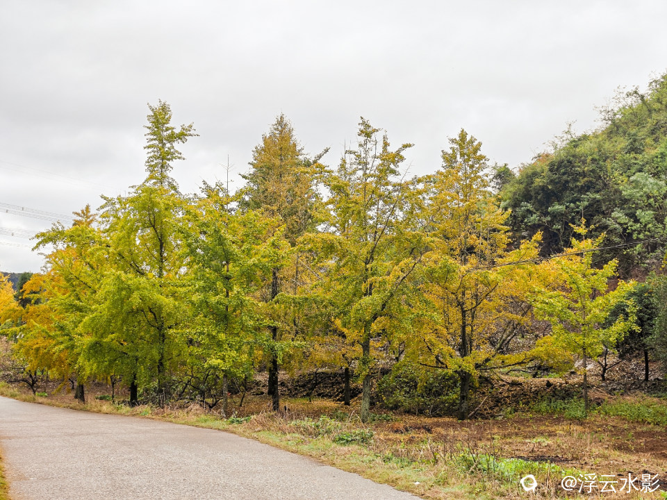 IMG_20251108_114610-101 [最大宽度 2400 最大高度 1800].jpg