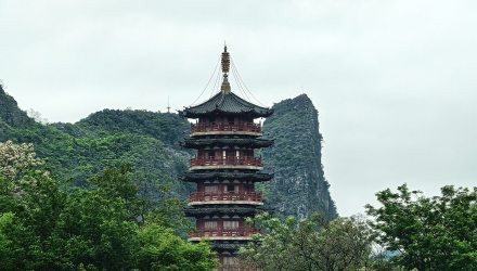 漓江东岸漫步：紫荆沿路灿，碧水载船悠