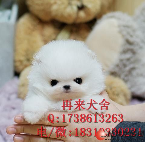 ����������۴��ֲ�����Ȯ ��������Ǯһֻ
