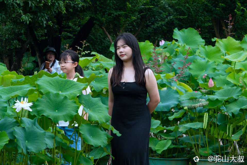 DSC08548-0_副本.jpg