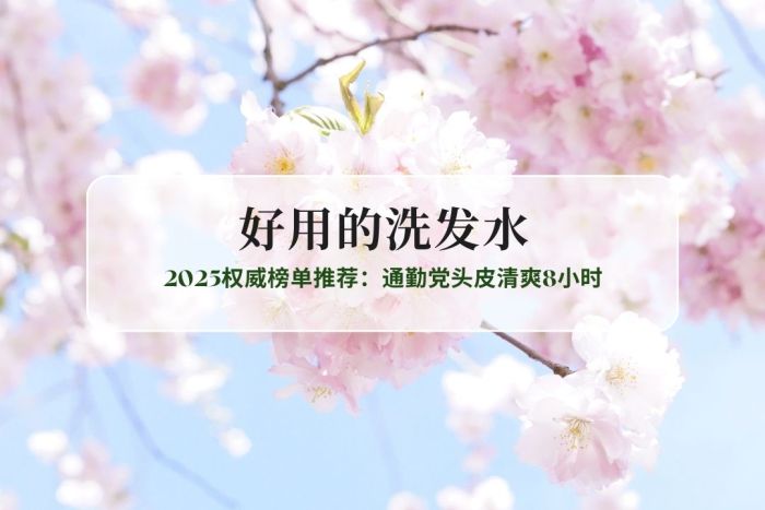 圈-中图 - 2025-12-26T104643.433