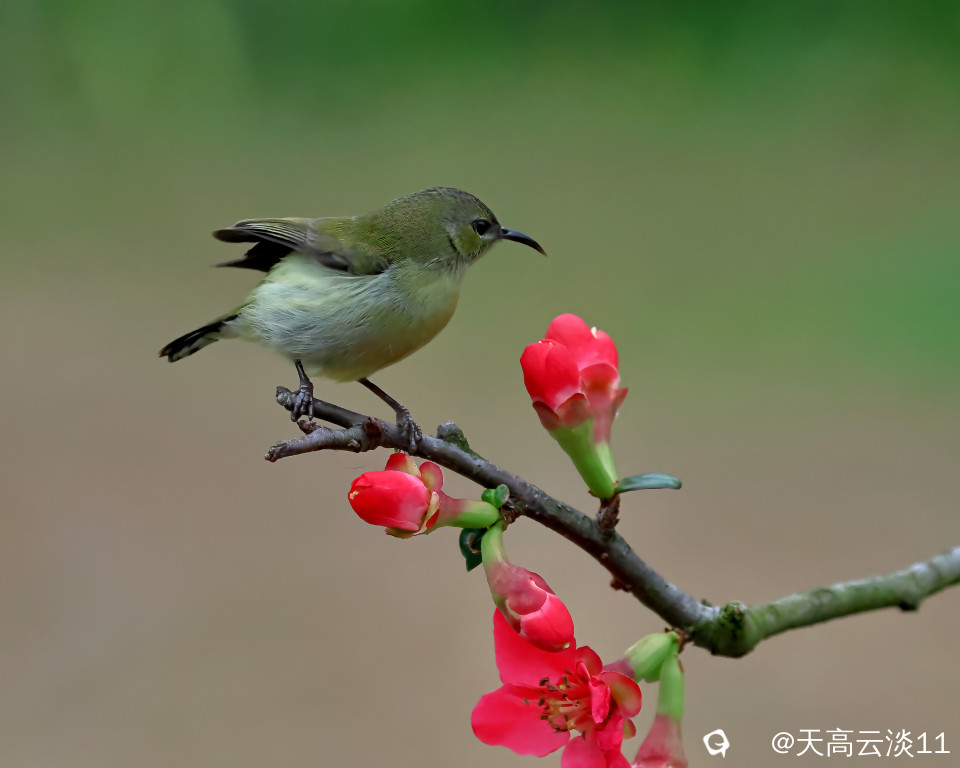 5D2A3900-DeNoiseAI-clear.jpg