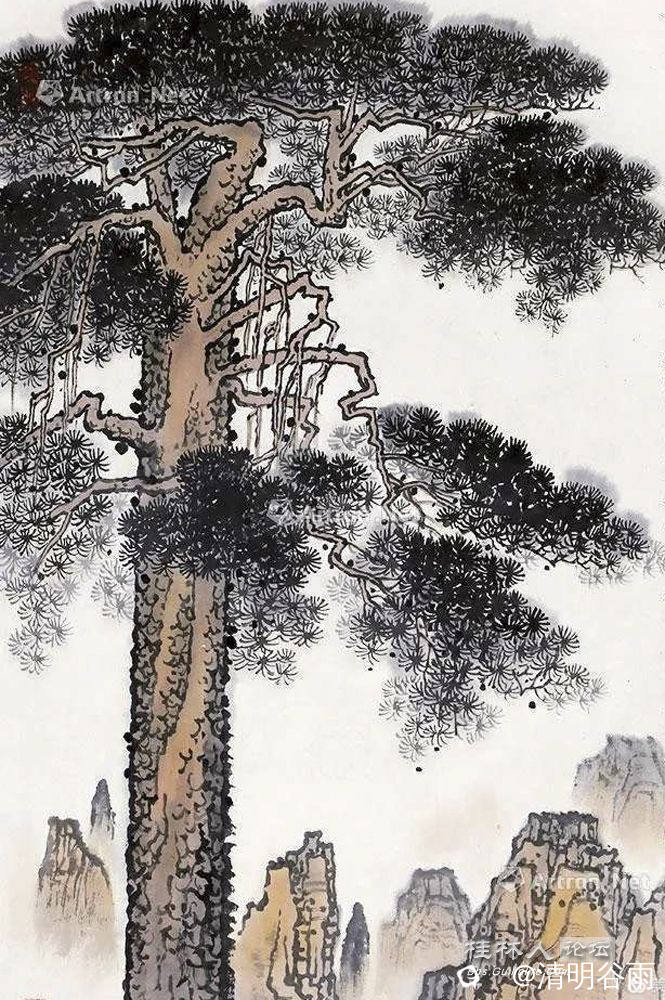 全阳松图24.jpg