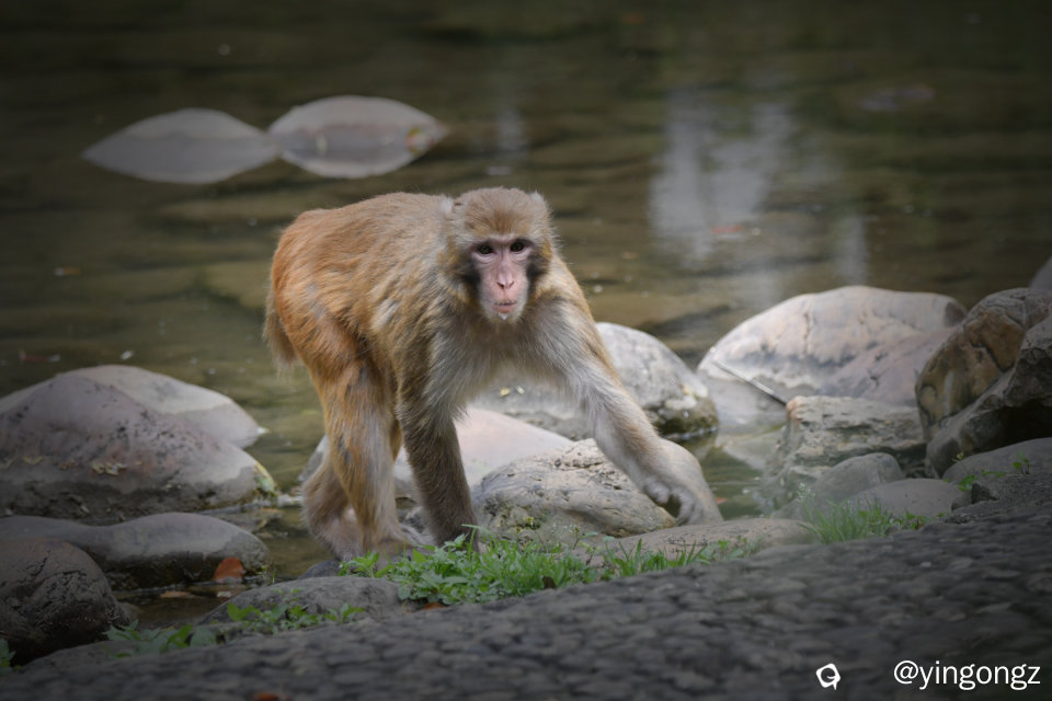 DSC_5747_副本.jpg