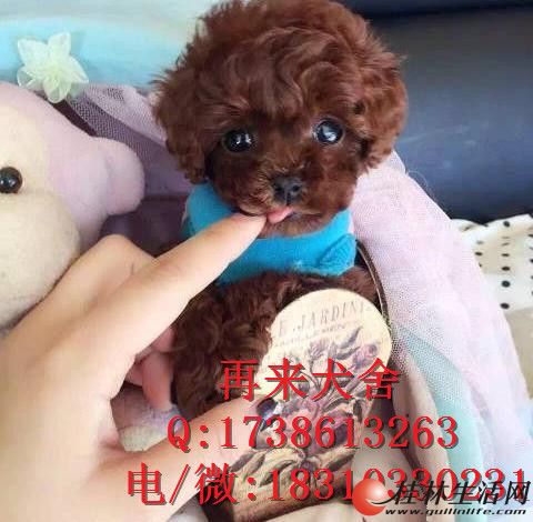  ����̩����Ȯ����ɫƷ����ȫ֤�������֣���������