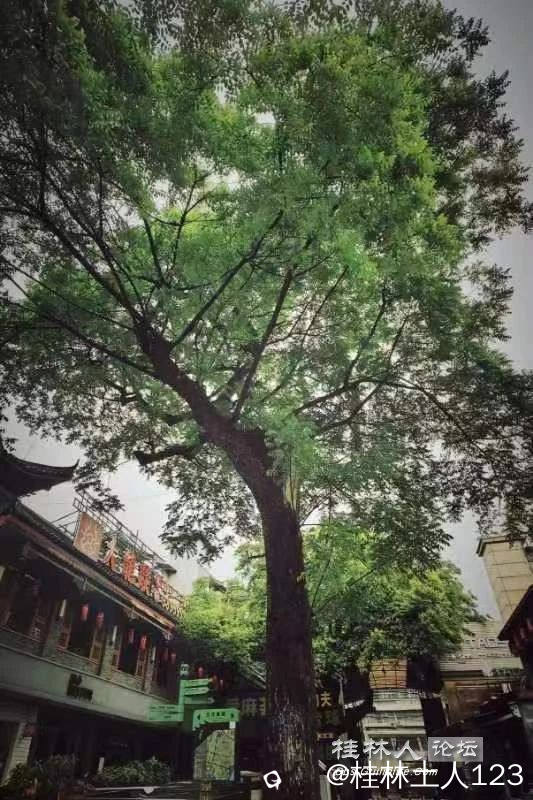 微信图片_20240407101548.jpg