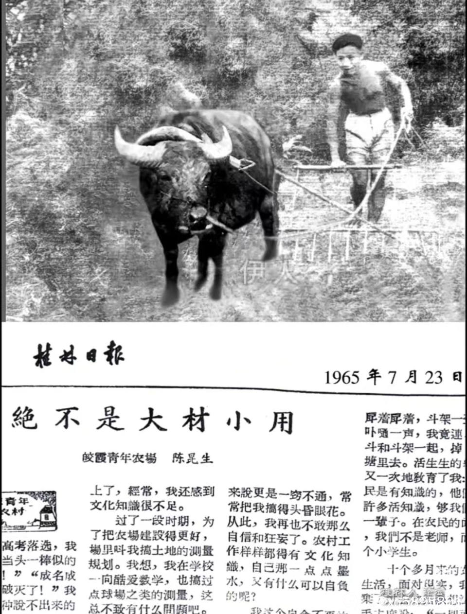 农场知青在桂林日报发表文章