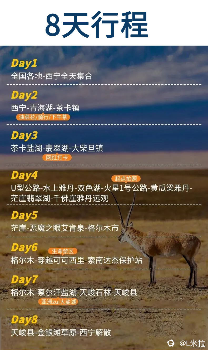 8天2.jpg
