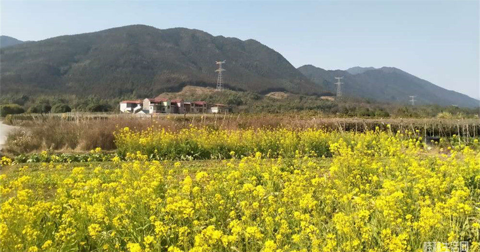 从中庸徒步到宛田，寻觅沿途古树古桥古迹