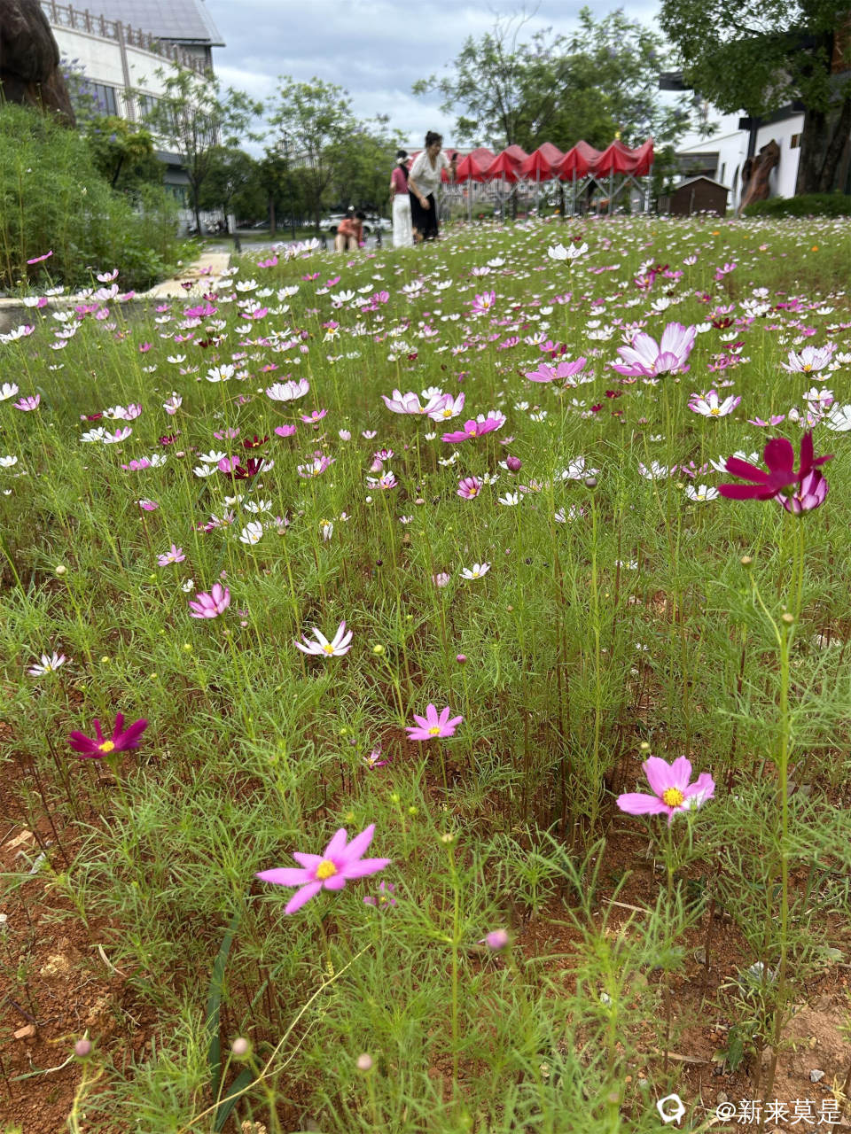 微信图片_20260519200202_12_192.jpg