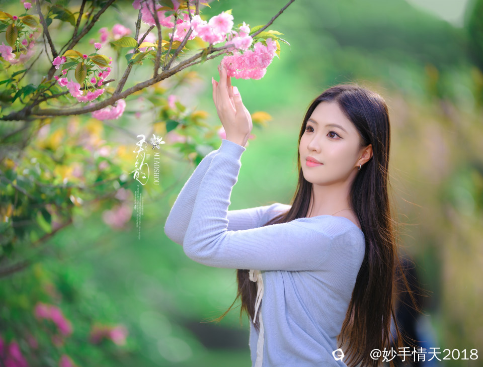 南溪山樱花人像