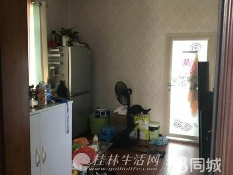 T«��·�䶳������ ��װ2�� 30��