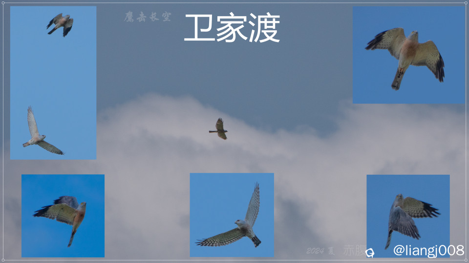 DSC01204_副本_副本.jpg