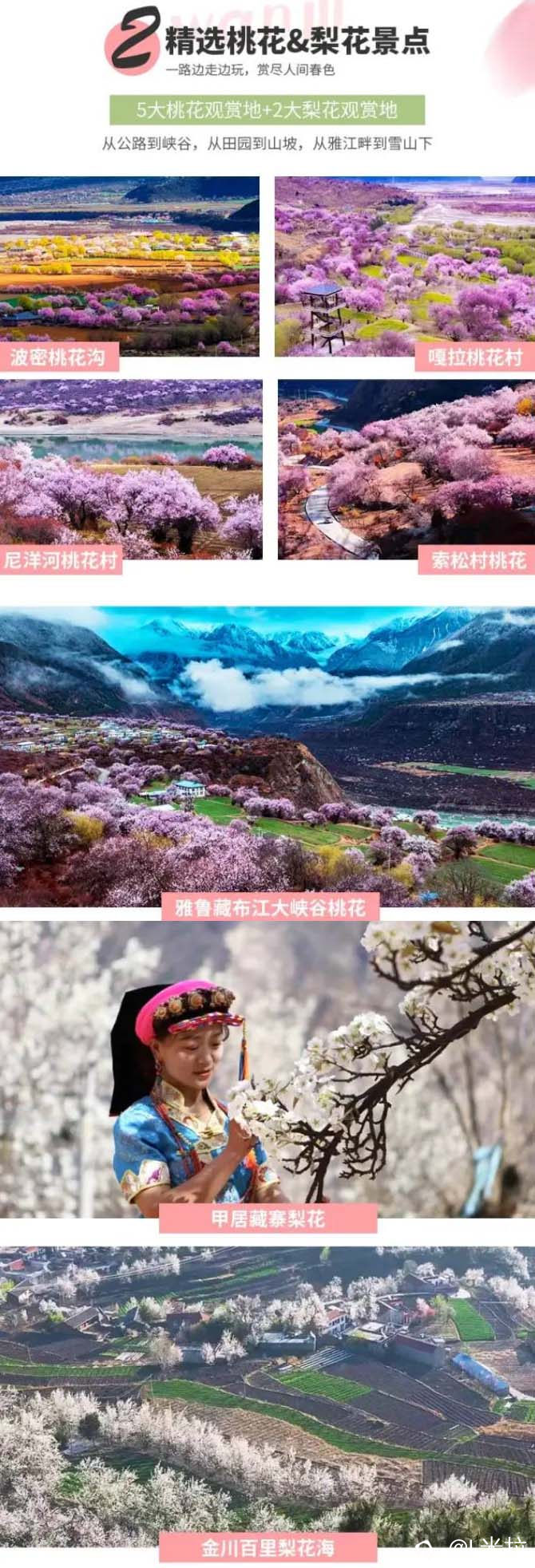 特点2.jpg