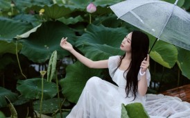 雨中荷韵～