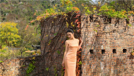 420歲老樹(shù)周邊園林很出片