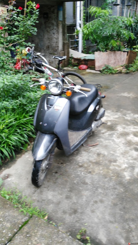 ����������ת����HONDA TODAY�͹�13367831104