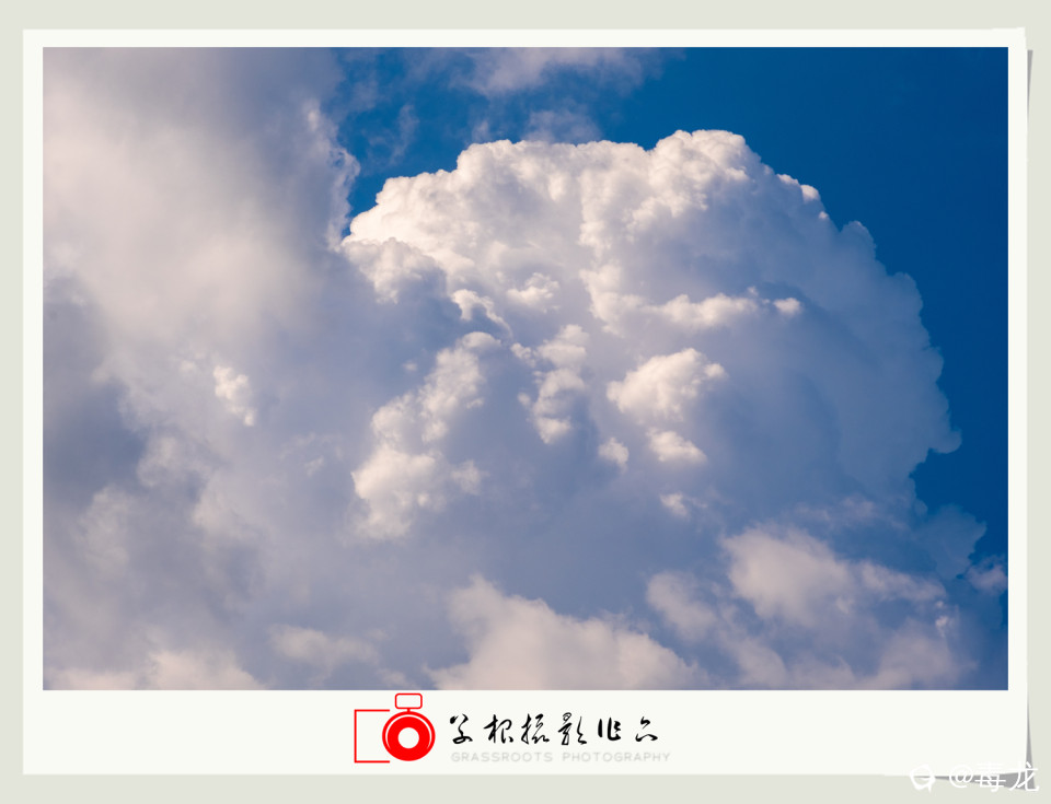 _DSF0144 拷贝_副本.jpg