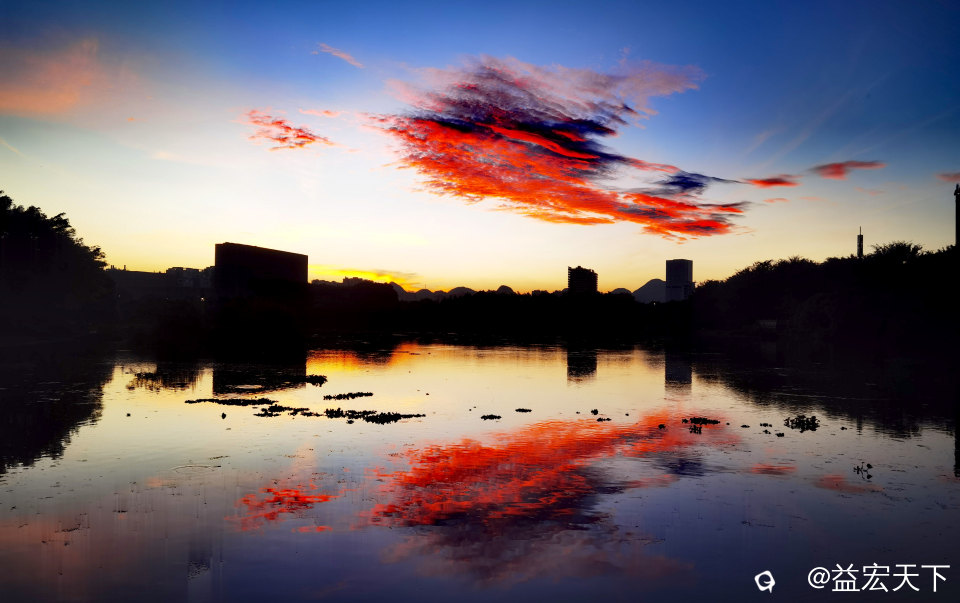 鱼跃水天