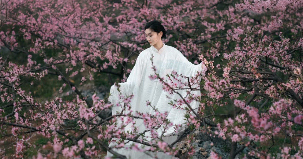 山是归处，花是故人，心无尘埃