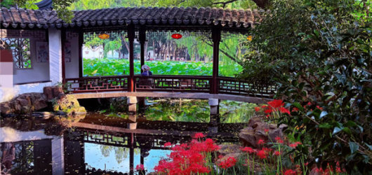 杭州墅园的美景