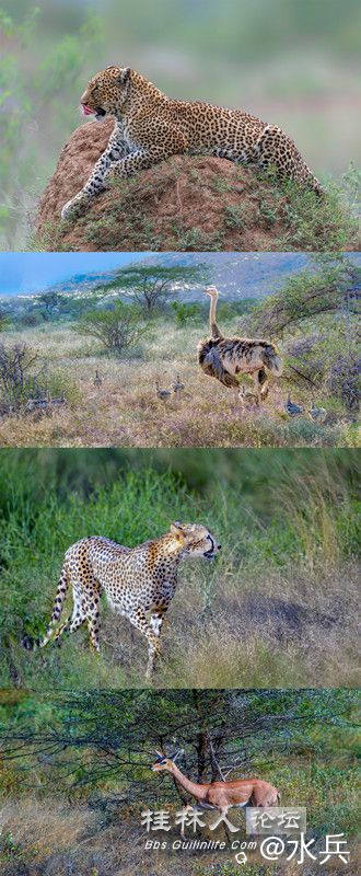 长文本.psd _副本.jpg