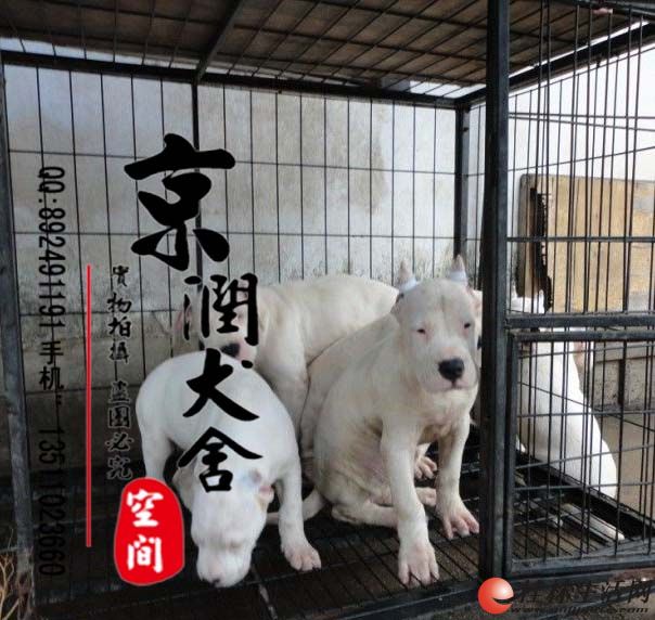 ʲô���ܴ��� ʲô���ܿ�����