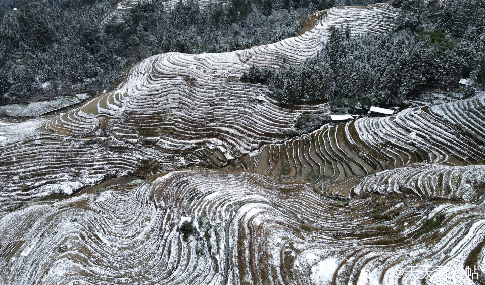 DJI_0223_副本.jpg