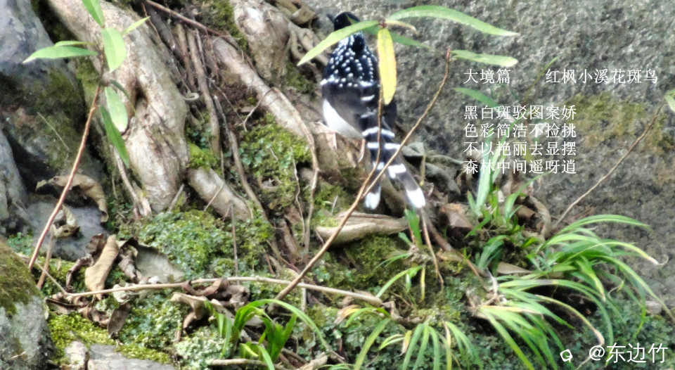 548_副本.jpg