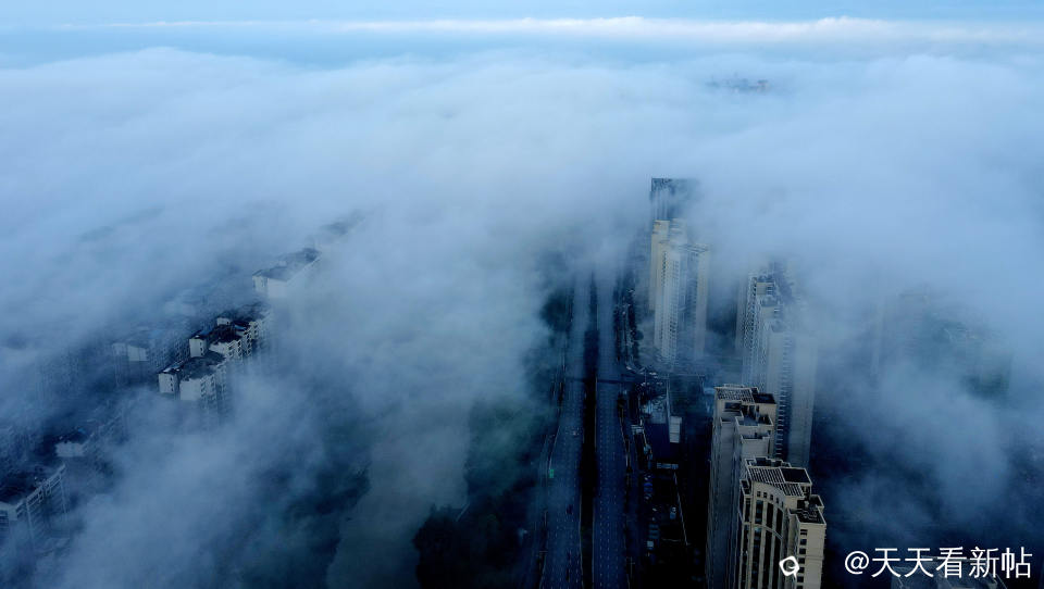 DJI_0454_副本.jpg