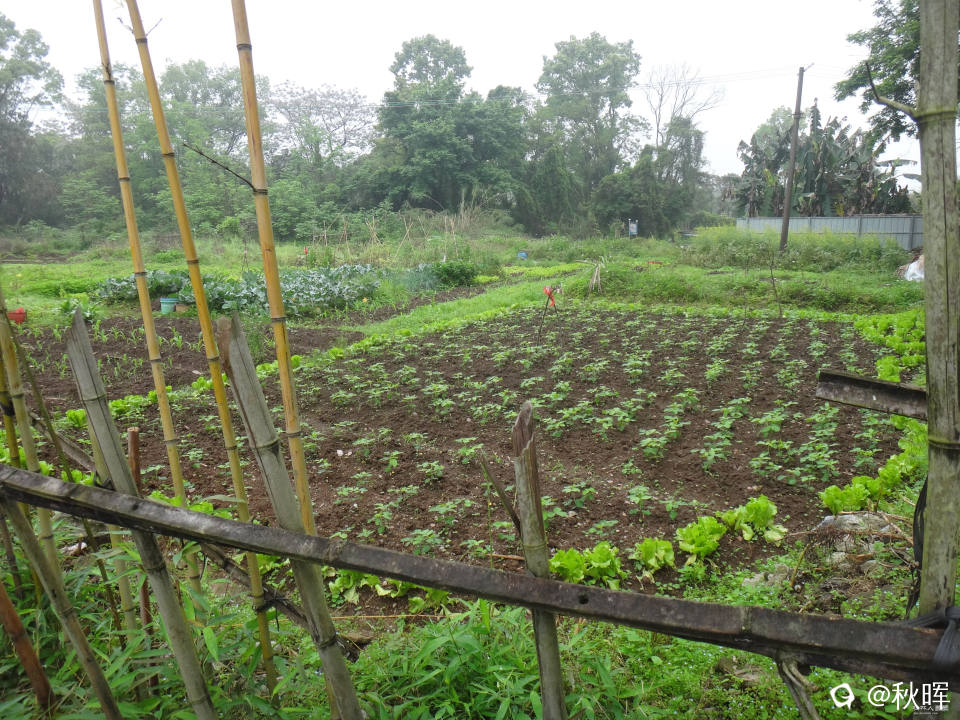 DSC08210.JPG
