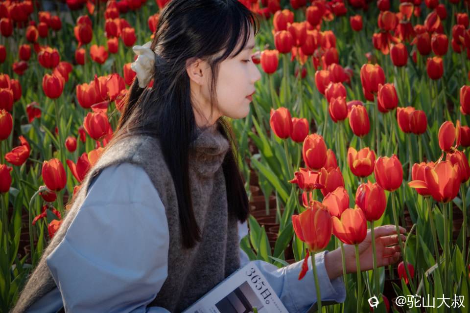 DSC05303-0 - 副本.jpg