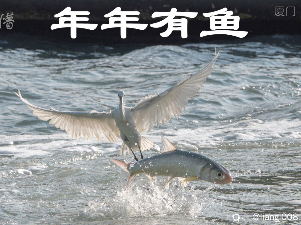 DSC02644_副_副本.jpg