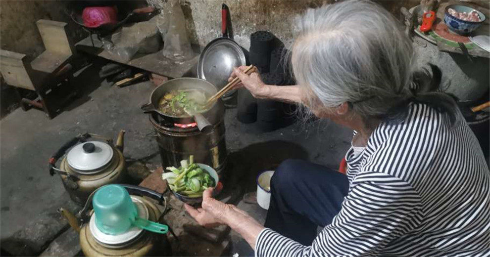 【老歪歪】九十三岁老太打的长寿茶，有福了