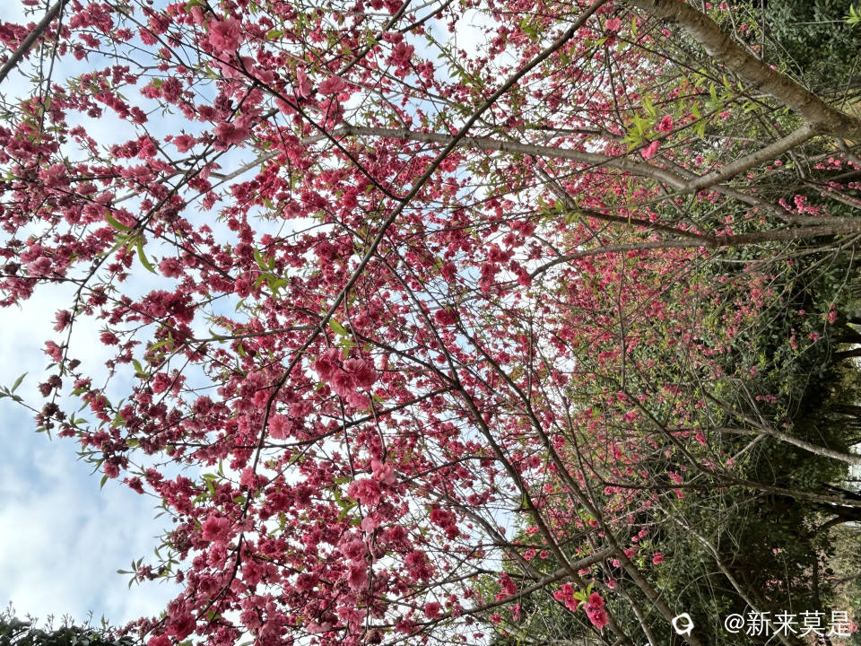 微信图片_20260314185719_182_519.jpg